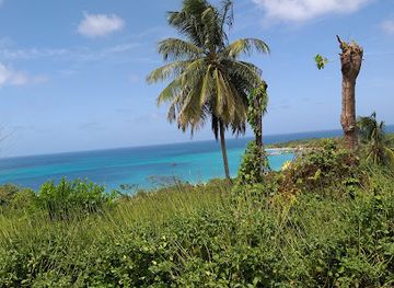 nicaragua/pearl-cays/attraction/soul-of-the-world