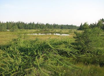 canada/kootenays/attraction/french-mountain