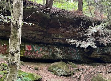 ohio/dundee-falls/attraction/dundee-falls-trail-head-a