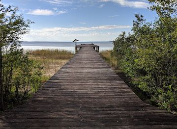 north-carolina/sandhills/attraction/lake-waccamaw-state-park