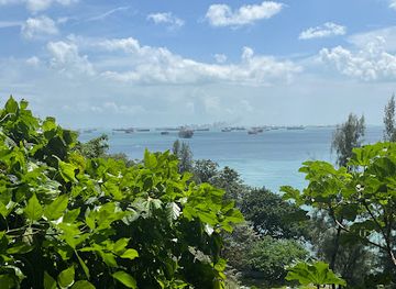 singapore/labrador-nature-reserve/attraction/nature-reserve-viewpoint