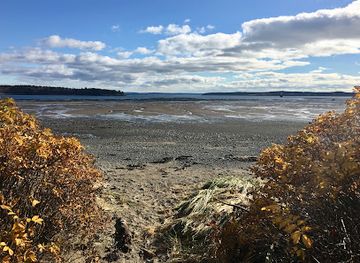 maine/downeast/attraction/mowry-beach-preserve