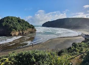 new-zealand/auckland/attraction/te-henga-bethells-beach