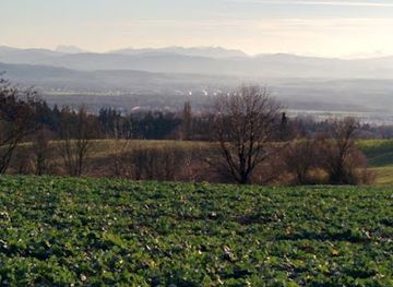 austria/muhlviertel/attraction/marbacher-linde