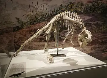 Museo de Ciencias Naturales de la Universidad de Zaragoza