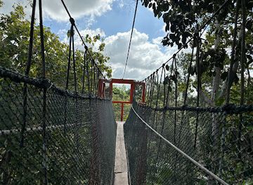 malaysia/perlis/attraction/titian-kanopi-frim-perlis