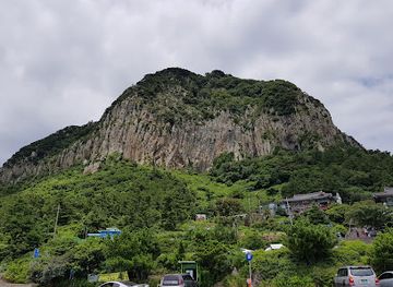 south-korea/jeju-island/attraction/lone-tree-at-saebyeol-oreum