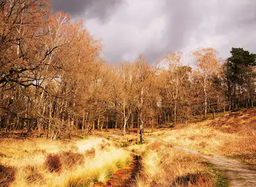 Lage Veluwe