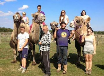 united-kingdom/norwich/attraction/camel-park-oasis