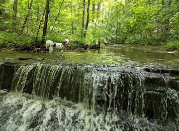 tennessee/middle-tennessee/attraction/beaman-park