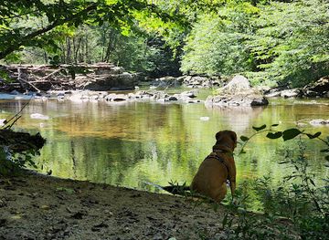 new-jersey/high-point-state-park/attraction/ken-lockwood-gorge-wildlife-management-area