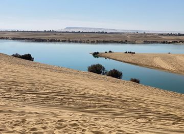 egypt/wadi-el-rayan-national-park/attraction/sand-boarding-faiyum