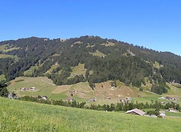 switzerland/gstaad/attraction/bergbahnen-destination-gstaad-ag-wispile