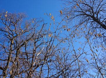 sweden/linkoping/attraction/vattenakarebacken