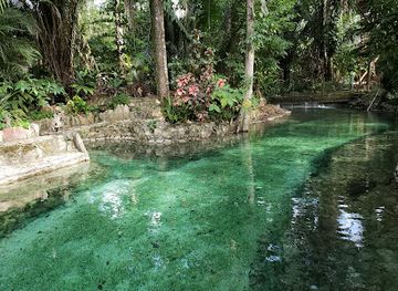 belize/vaca-plateau/attraction/ayala-s-natural-pool-and-adventures