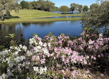 south-carolina/lowcountry/attraction/pineapple-tour-group