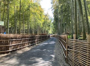 japan/kyoto/attraction/bamboo-path-take-no-michi