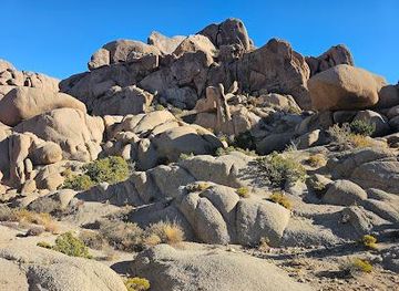 california/joshua-tree/attraction/joshua-tree-national-park-visitor-center
