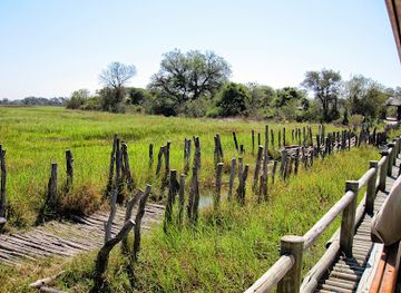 botswana/moremi-game-reserve/attraction/moremi