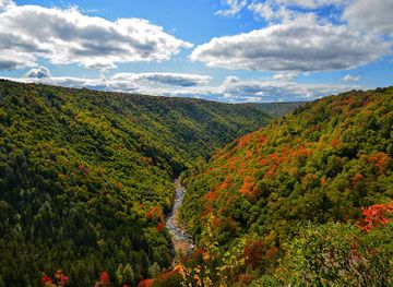 west-virginia/spruce-knob/attraction/pendleton-overlook