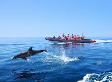 portugal/faro/attraction/vilamoura-watersports-centre