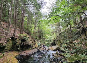 massachusetts/mohawk-trail/attraction/doane-s-falls-reservation