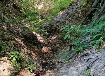 hungary/duna-ipoly-national-park/attraction/domini-forras