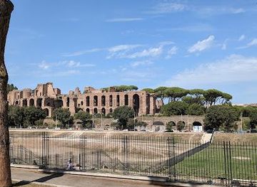 vatican-city/vatican-necropolis/attraction/circus-maximus