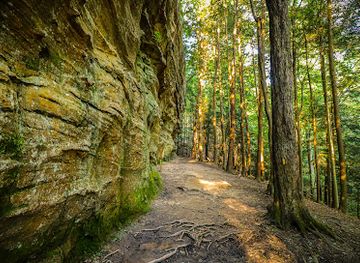ohio/hocking-hills/attraction/hemlock-bridge-trail-hocking-hills-state-park