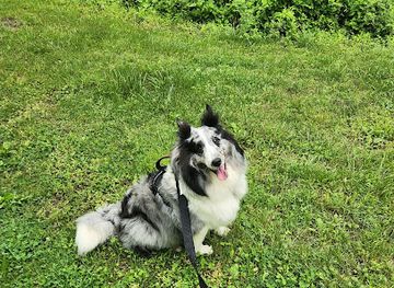 maryland/chesapeake-and-ohio-canal-national-historical-park/attraction/c-o-canal-national-historical-park
