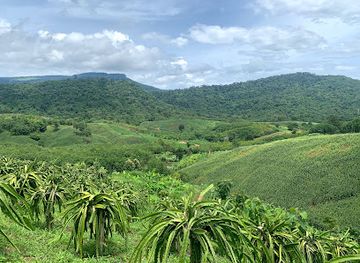 thailand/loei/attraction/phu-luang-view-point