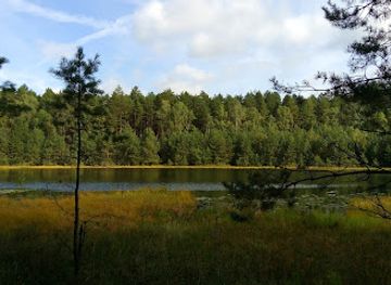 poland/bory-tucholskie/attraction/rezerwat-przyrody-dury