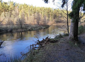 lithuania/anyksciai-treetop-walking-path/attraction/the-sventoji-river-cognitive-path