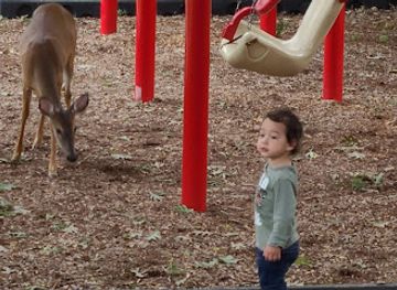 maryland/rockville/attraction/croydon-park