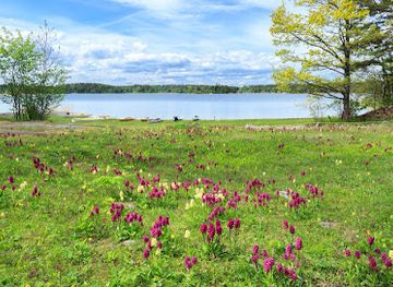 sweden/sarek-national-park/attraction/angso-national-park