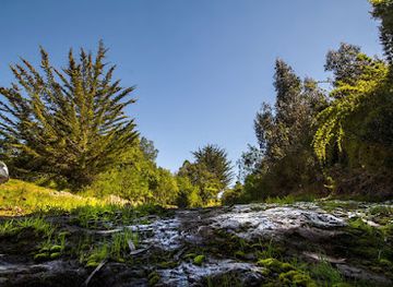 chile/o-higgins-region/attraction/reserva-hidango