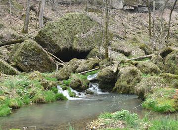 iowa/backbone-state-park/attraction/mossy-glen-state-preserve