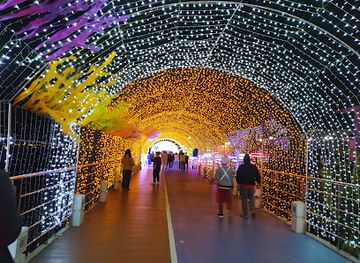 thailand/mekong-river-region/attraction/nakhon-phanom-river-walk