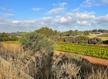 israel/ra-anana/attraction/ha-gesher-harod