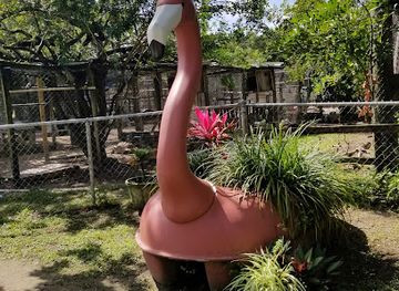 florida/southwest-florida/attraction/octagon-wildlife-sanctuary