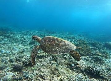 indonesia/bali/attraction/gamat-bay