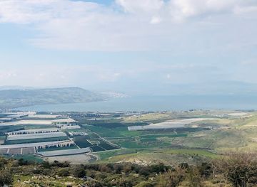 jordan/umm-qais/attraction/umm-qais-feilds