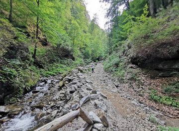 romania/valcea/attraction/cascada-scorusu