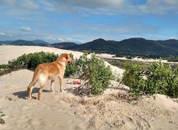 brazil/florianopolis/attraction/dunes-of-joaquina