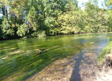 france/centre-val-de-loire/attraction/pointe-de-courpain-confluence-de-la-loiret-et-la-loire
