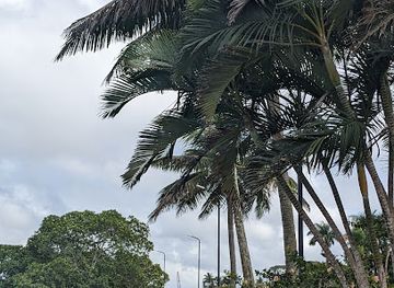 fiji/levuka/attraction/takashi-suzuki-garden
