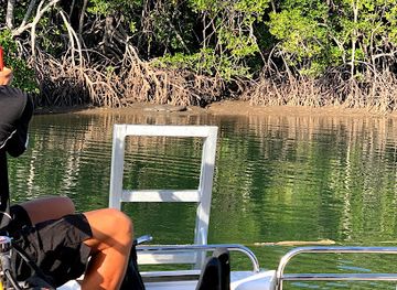 australia/port-douglas/attraction/abc-snorkel-charters