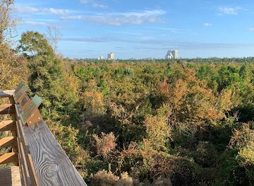 alabama/cotton-bayou/attraction/hugh-s-branyon-backcountry-trail-rosemary-dunes-trailhead