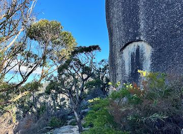 australia/wilson-s-promontory-national-park/attraction/little-drift-overlook