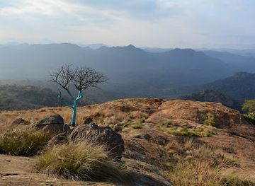 south-africa/lowveld/attraction/steiltes-nature-reserve